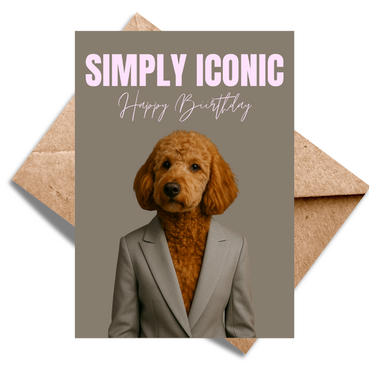 Iconic Labradoodle