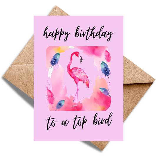 Top Bird